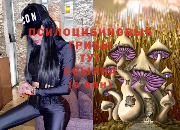 прущая мука Алексин