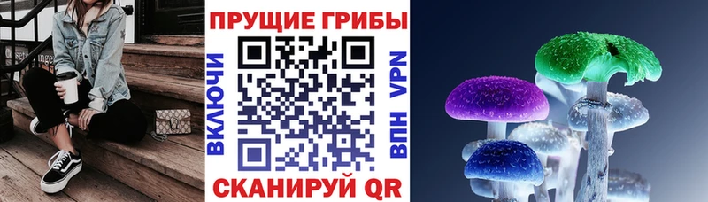 Галлюциногенные грибы Psilocybine cubensis Ленинск